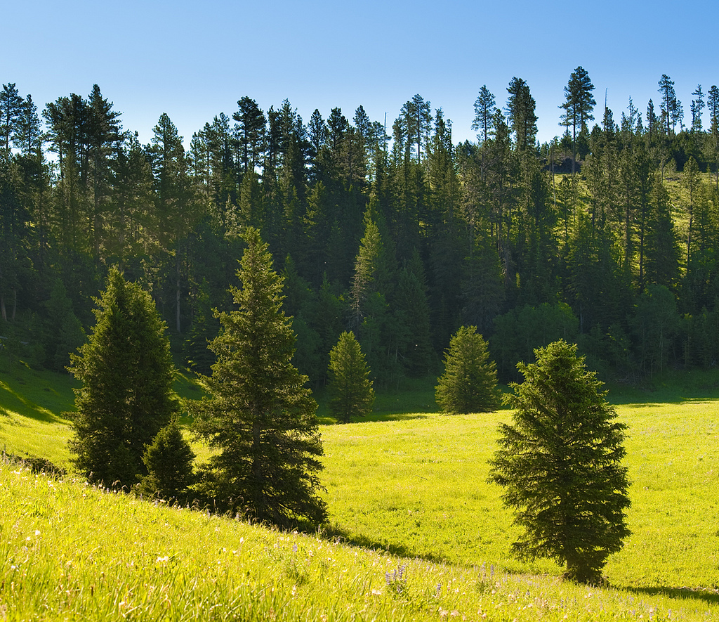 Gallery Black Hills Real Estate Greenview Estates, South Dakota