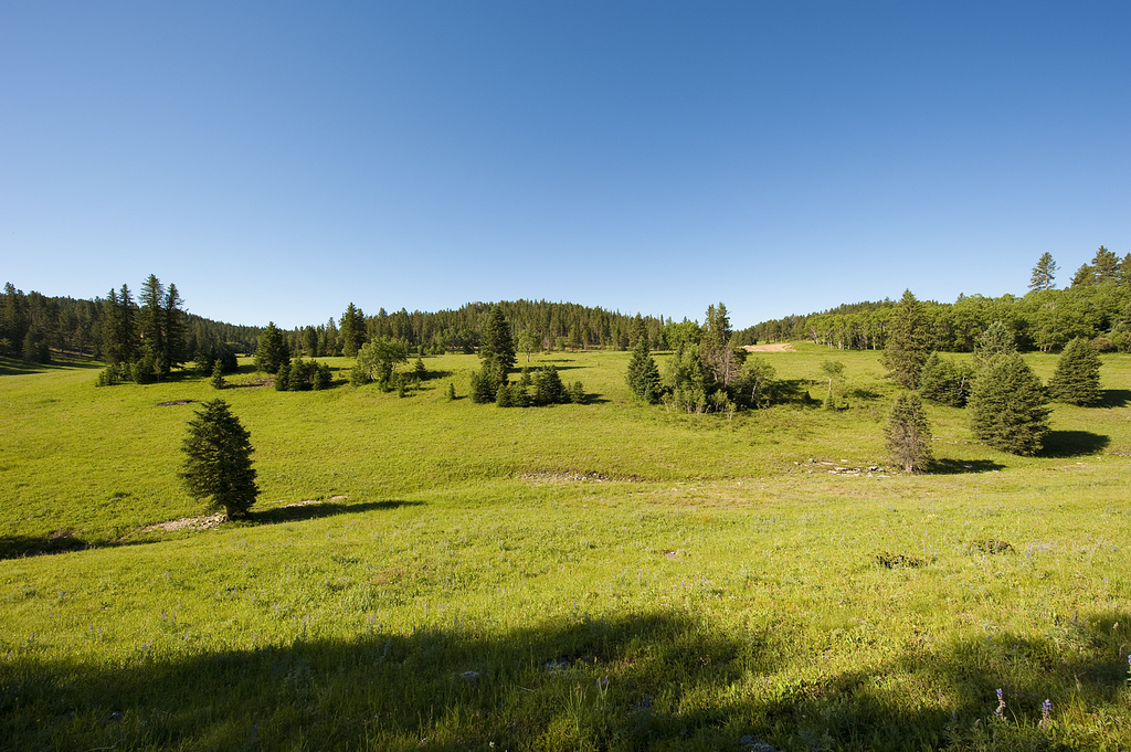 Gallery Black Hills Real Estate Greenview Estates, South Dakota