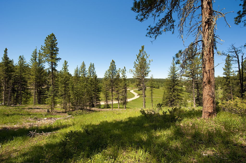 Gallery Black Hills Real Estate Greenview Estates, South Dakota