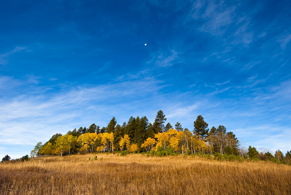 Gallery Black Hills Real Estate Greenview Estates, South Dakota